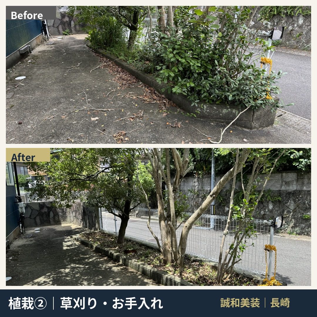 植え込みの剪定・除草Before/After。通路の落ち葉も清掃
