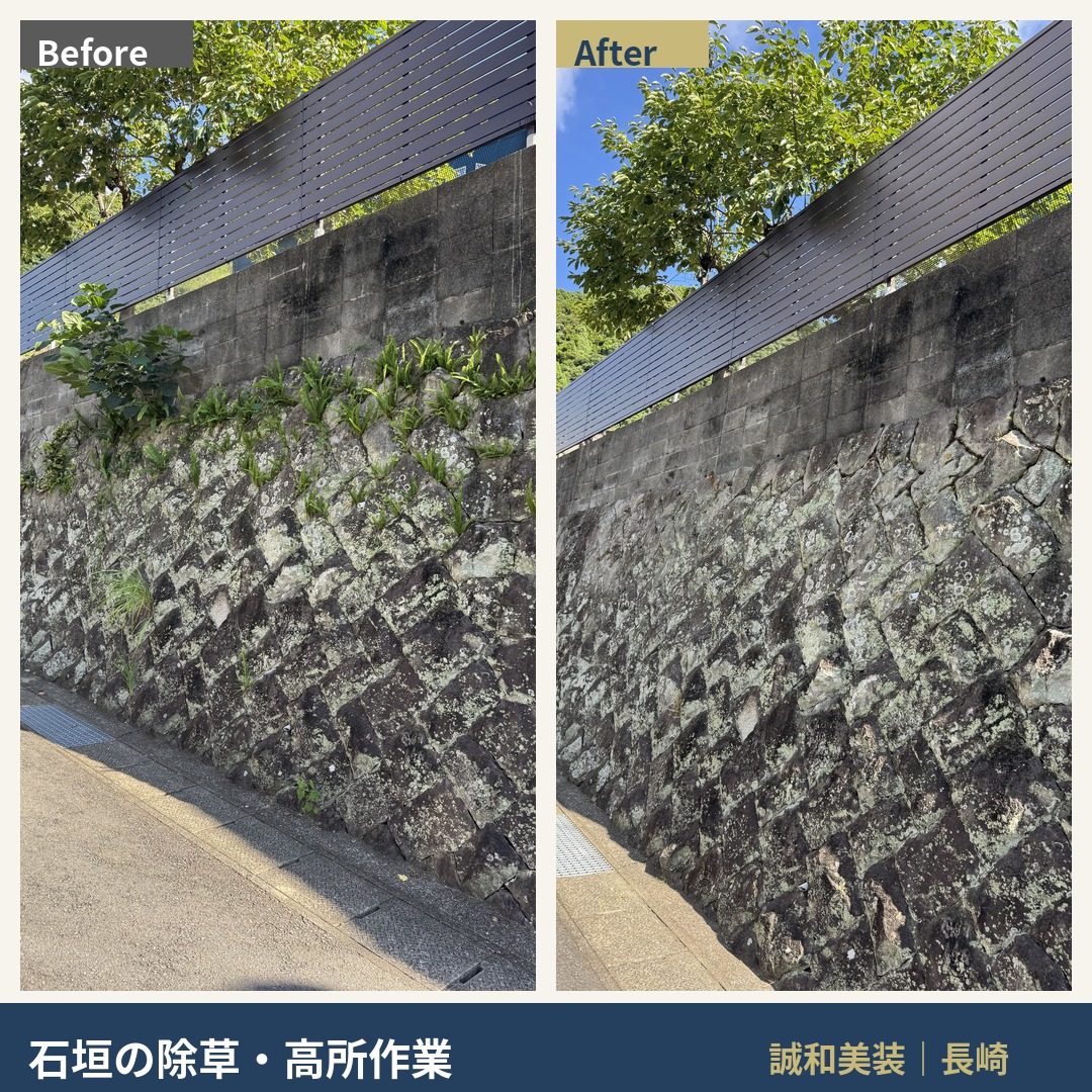 石垣・擁壁の高所除草Before/After。上部ブロック塀際まで雑草を除去