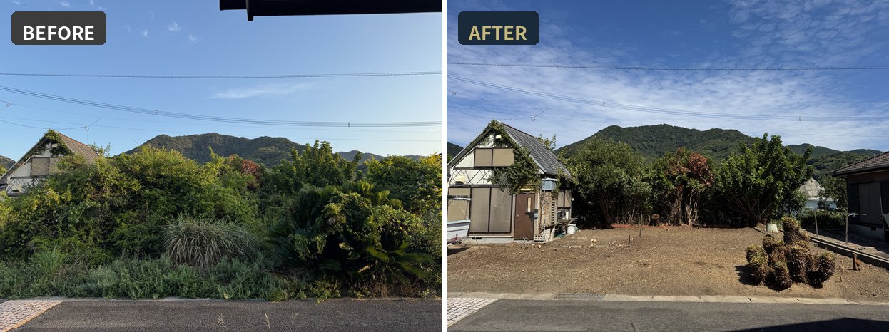 長崎市の海沿いの空き家の庭の草刈りBefore/After。背丈を超える草木を刈り、建物と地面が見える状態に