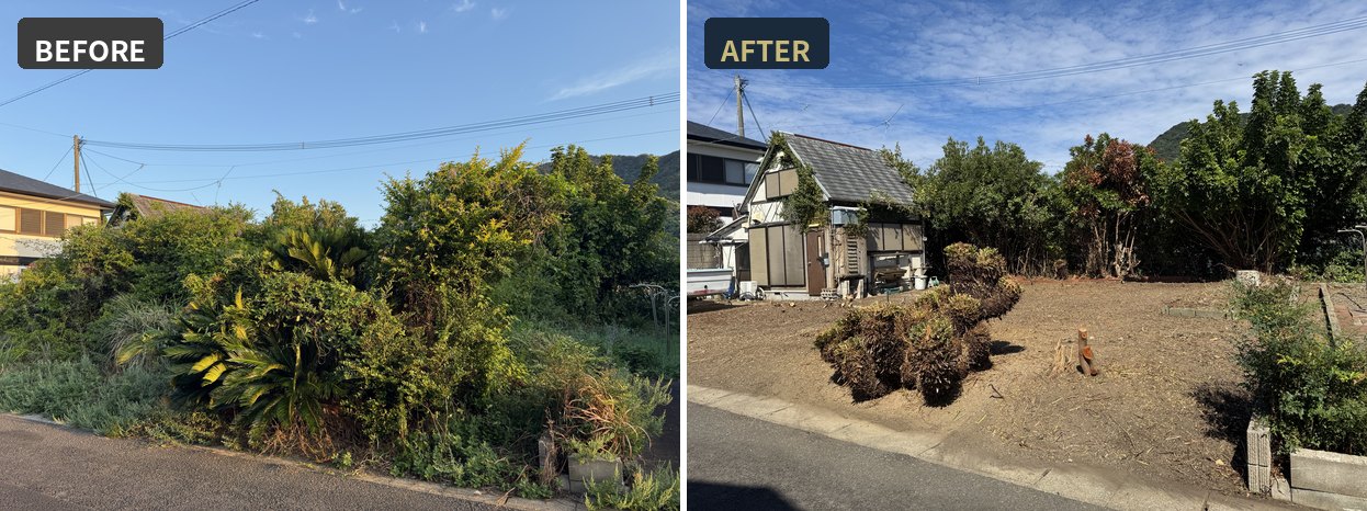 空き家の庭の草刈りBefore/After。低木の剪定・伐採もあわせて実施