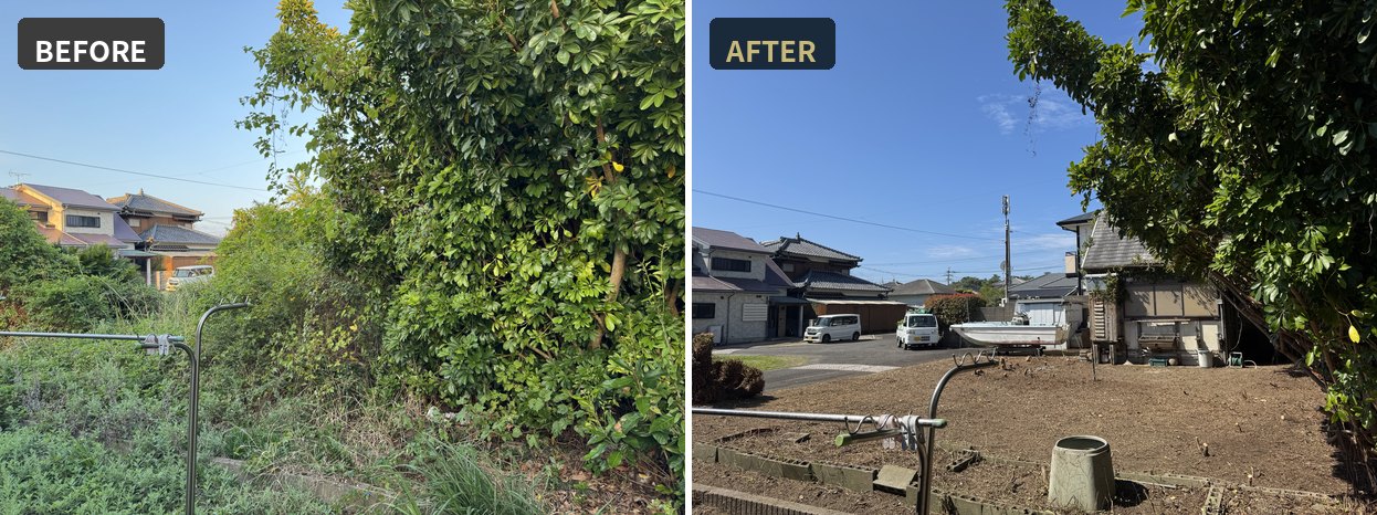 海側まで繁茂した草木の草刈りBefore/After。敷地の奥まで刈り込み